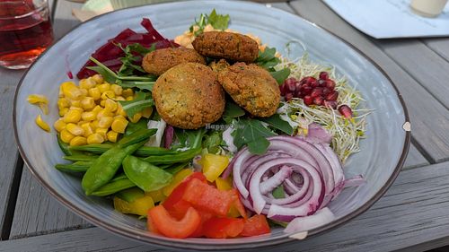 Falafel salad bowl at Café Enehus in Einhaus