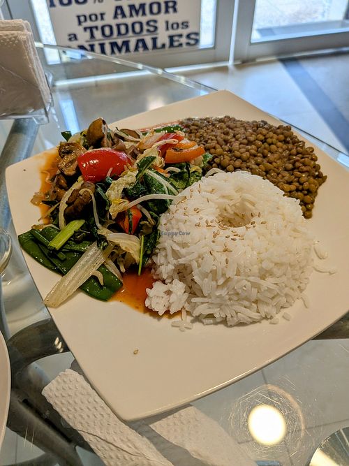 Verduras saladas, white rice, lentils at Darshan Vegetarian Restaurant in Iquitos
