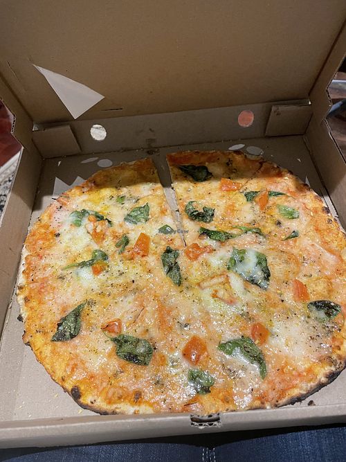 Image of Pizzasaurus