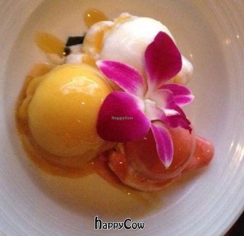 Sorbetto Trio at Beach House in Koloa