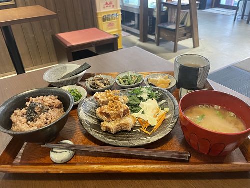 Fried “ofu” set. It’s kinda a vegan meat substitute made from wheat gluten    at Horie Hakkoudou - 堀江発酵堂 in Osaka