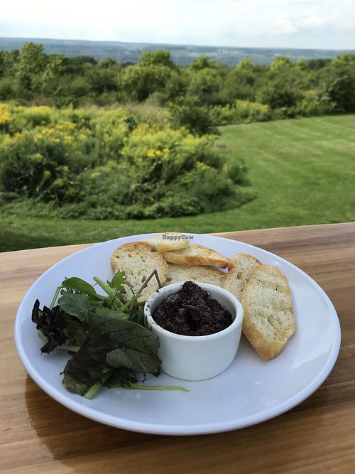 Stonecat Cafe Hector New York Restaurant HappyCow