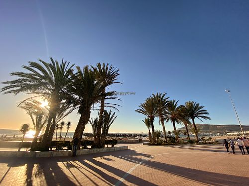 Front of the restaurant  at Ô Playa in Agadir