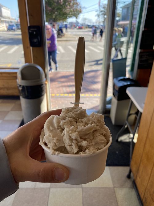 Vegan vanilla- only option today  at Lewis Brothers Homemade Ice Cream in Provincetown
