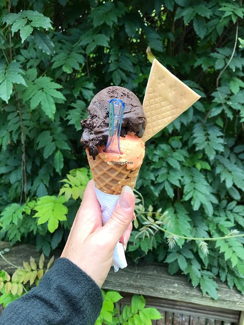 vegan chocolate and orange sorbet : )  at Caffe Romeo in Charleston