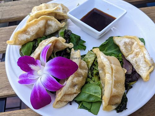 Vegan gyoza at The Sushi Samurai - Queen Anne in Seattle