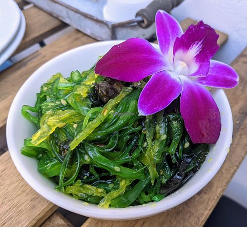 Seaweed Salad at The Sushi Samurai - Queen Anne in Seattle