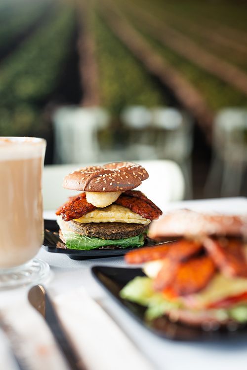  at Copper Branch - Sainte-Catherine  in Montreal