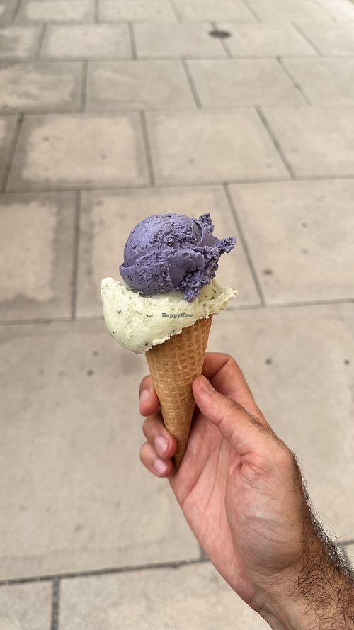   at Veganista Ice Cream MQ in Vienna