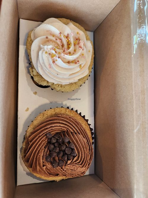 Vanilla strawberry & vanilla chocolate at Wildflower Cupcake and Dessert Bar in Greenville