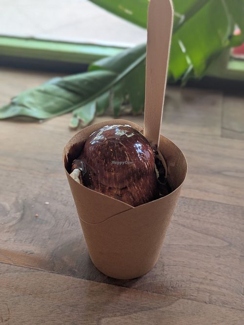  at The Bent Spoon in Princeton