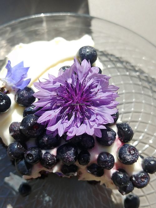  at Freya Cafe in Warsaw