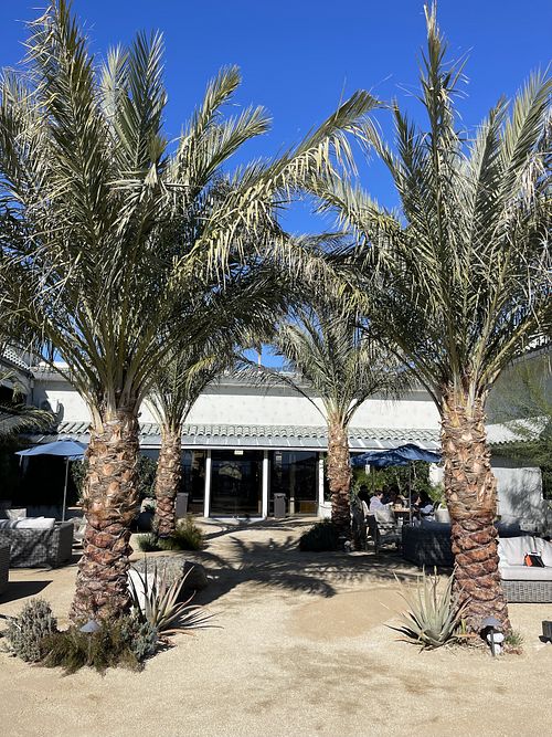 Outside dining  at Azure Palm Café in Desert Hot Springs