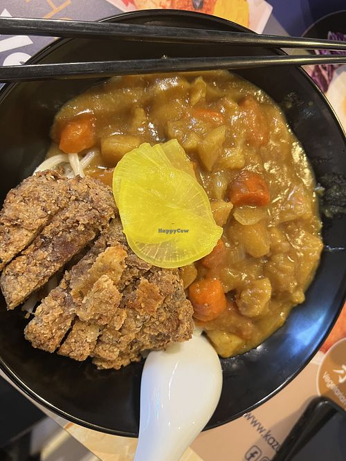 Curry udon contains alliums (8/10)  at Zuya Vegetarian 竹雅素食 - Marina Square in Central Singapore