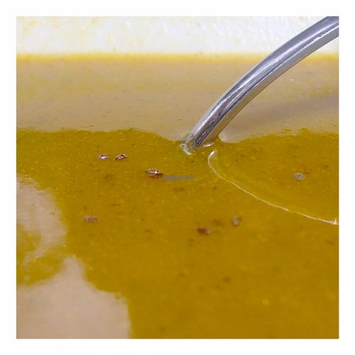 Pumpkin soup at Vegarden in Medellin