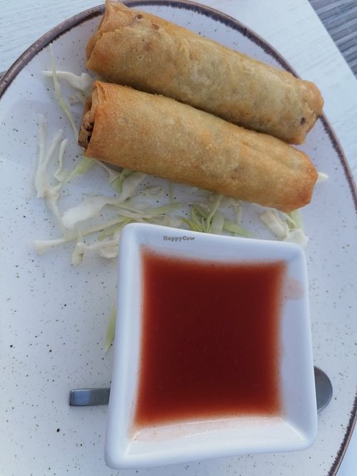 Vegetable spring rolls at Twin Dragon Chinese Cuisine in Kos