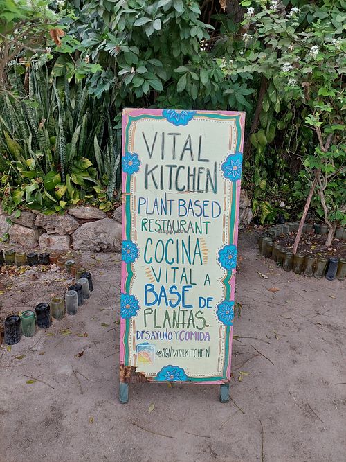  at Agni Vital Kitchen in Bacalar