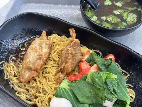 Dumpling noodle   at Loving Green Vegetarian 绿园素 in Northeast Singapore