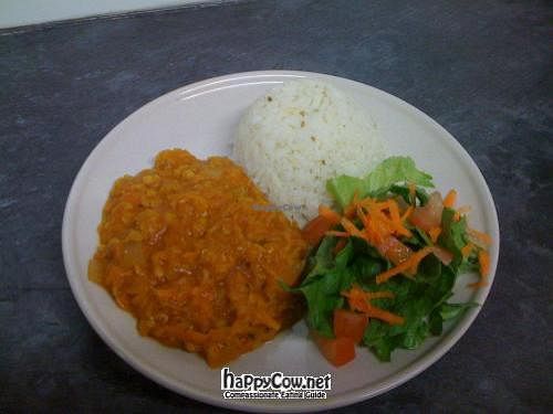 lentil bolognese & rice at Giro's Cafe in Belfast