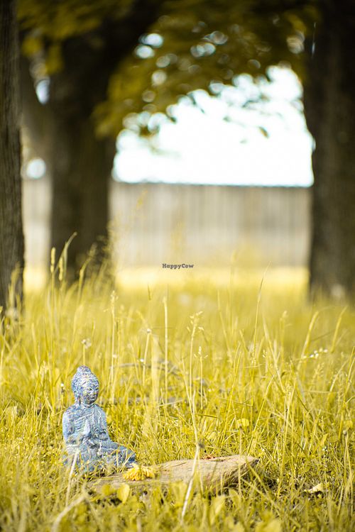 Maple Grove: For Ceremony, Circles, + More.  at Inner Nature:  A Sanctuary for Your Soul in Finksburg