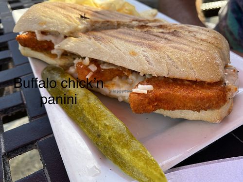 Buffalo chick’n panini  at Pizzetta in Mystic