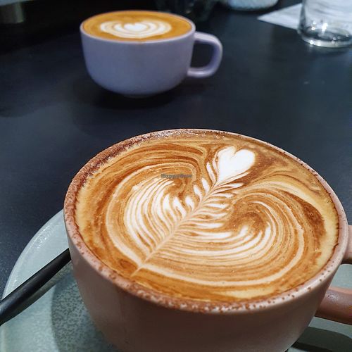  at Alchemy Food Lab in Cairns