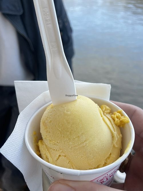   at René Nardone in Lyon