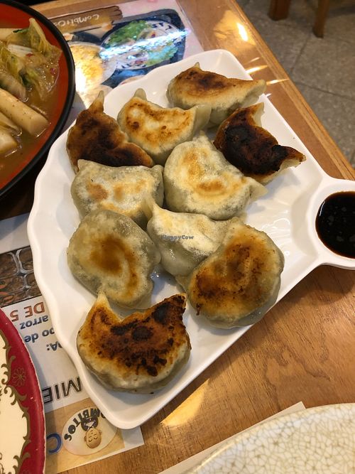 Empanaditas tostadas at Combitos Restaurante Vegetariano - Villamorra in Asuncion