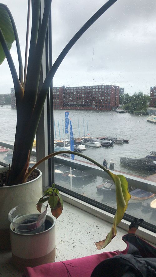 Great views   at Barmhartig in Amsterdam