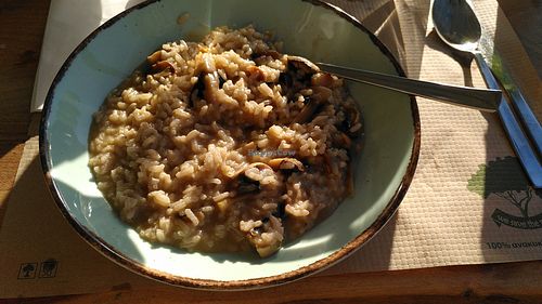 Mushroom risotto at Mouria 1923 in Kymi