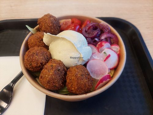 Falafel plus something salad bowl 670 RSD at Studio Shawarma in Novi Sad