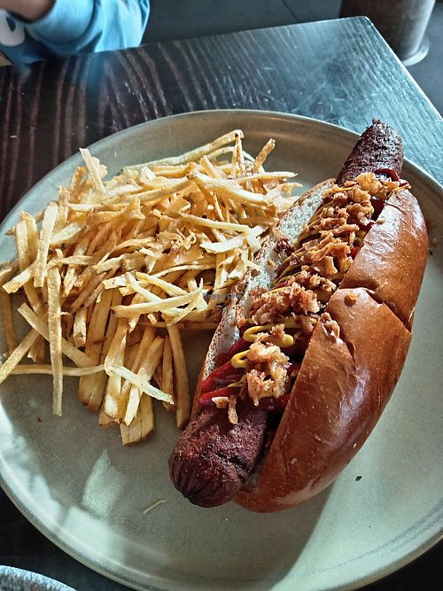 Plynt Frankfurter at City Screen Picturehouse in York