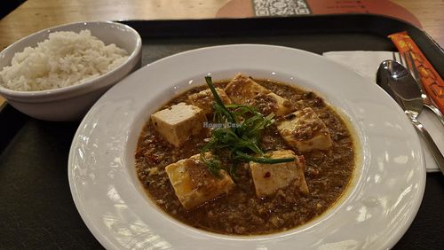  at The Rogue Panda in Brooklyn