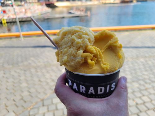 Sorbets at Paradis Gelateria in Oslo