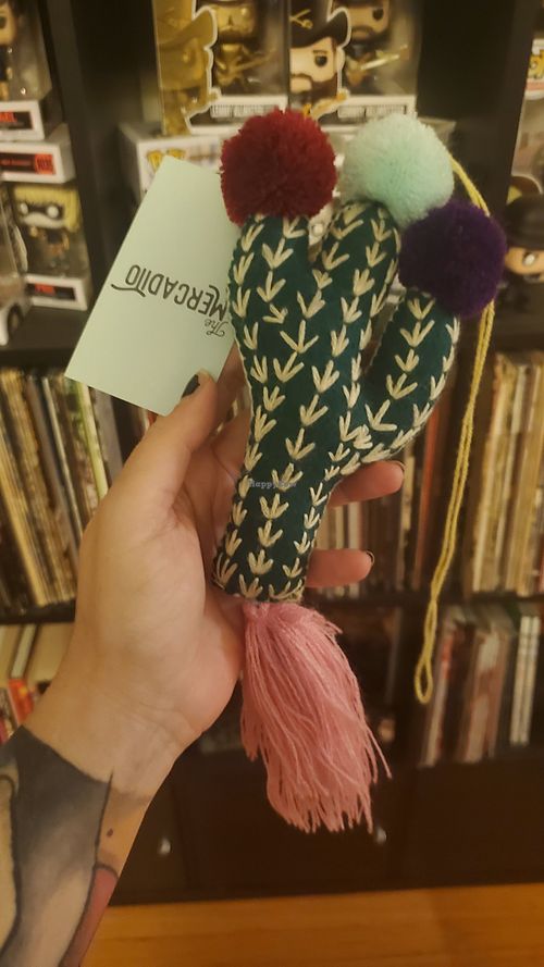 Bought this adorable cactus for my mother too! at Tacotarian in San Diego
