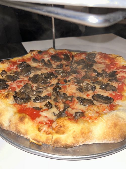 Vegan mushroom margarita pie  at Red Volpe Pizzeria Ristorante in Bethpage