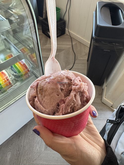 Blueberry Crumble  at Salt Shop in Southwest Harbor