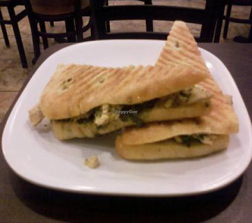 The pesto gardien chicken panini   at Fresh Healthy Cafe in Wesley Chapel