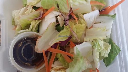 salad ZEN FORREST came with (frozen & reheated) General Tso tofu at Zen Forrest in New Port Richey