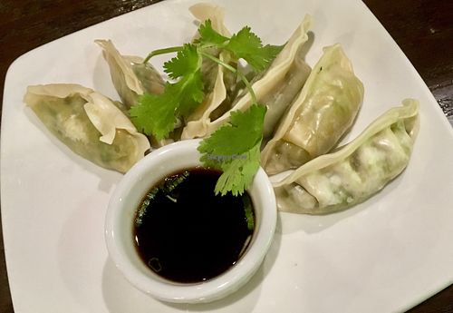 Veggie dim sum (steamed) at Zen Forrest in New Port Richey
