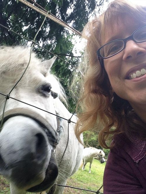 Selfie (*for the horse!) at Someday Farm Vegan Bed and Breakfast in Freeland