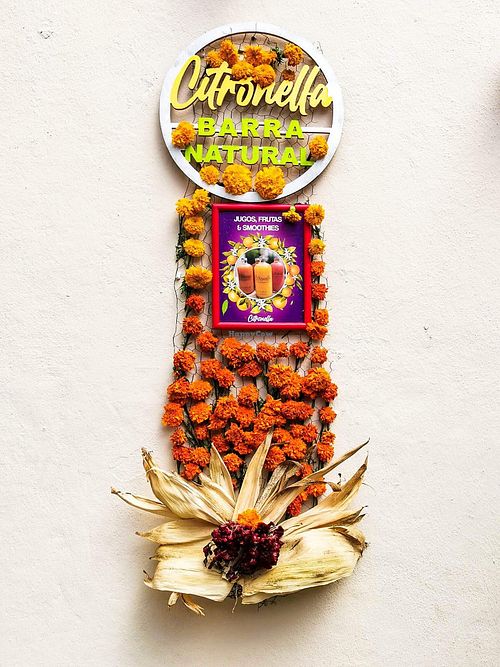   at Citronella in Oaxaca