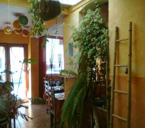  at Saveurs Nature in Perpignan