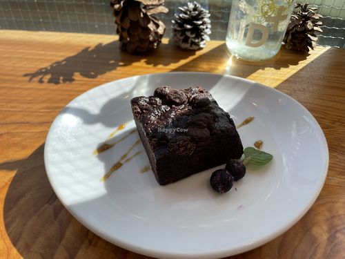 Chocolate brownie   at Alishan Park アリサンパーク in Tokyo