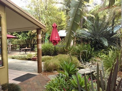 garden at Bamboo Buddha in Holgate