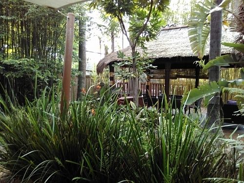 garden at Bamboo Buddha in Holgate