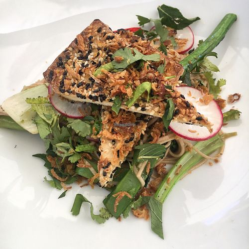 Bamboo Buddha Holgate New South Wales Restaurant HappyCow