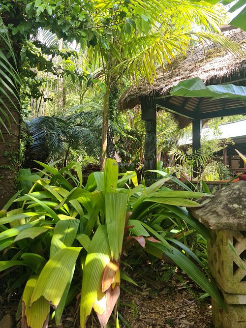 Beautiful surroundings at Bamboo Buddha in Holgate