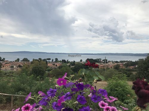 The view  at Agrolago in Trevignano Romano