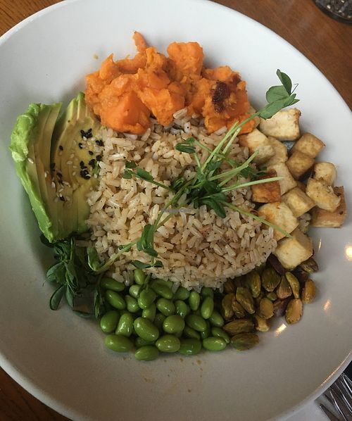 Tofu teriyaki power bowl  at Scargo Cafe in Dennis